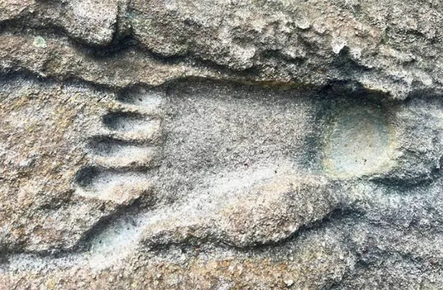 Những dấu chân khổng lồ